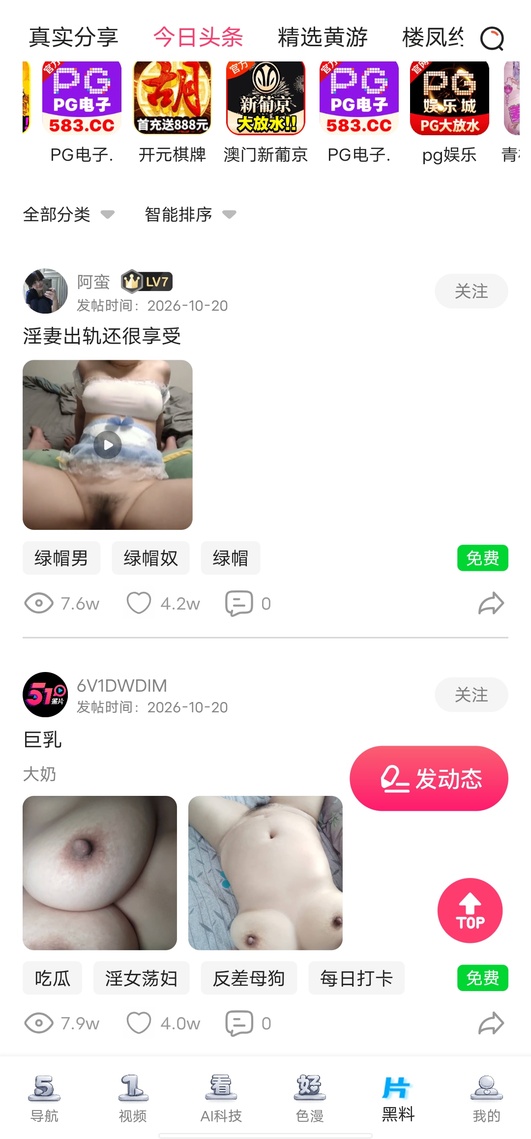 51鉴片