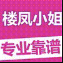 91楼凤阁